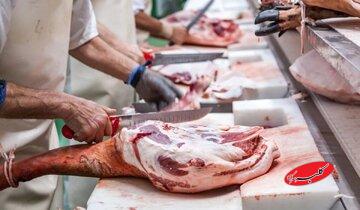 آیا خون باقی‌مانده در حیوان ذبح شده، نجس است؟