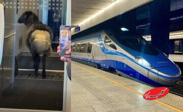 ماجرای گوسفندی که در قطار پوشک به تن داشت/ عکس