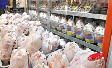 مرغ و تخممرغ گرانتر میشوند؟