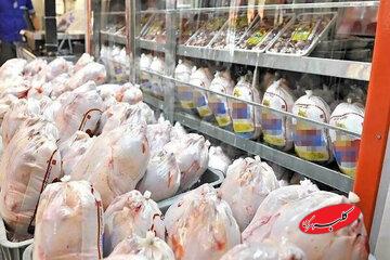 مرغ و تخم‌مرغ گران‌تر می‌شوند؟