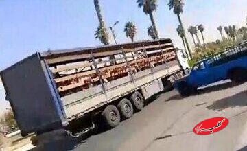 این مدیر مدرسه در جهرم از سمت خود برکنار شد/ ماجرا چیست؟