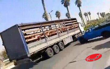 این مدیر مدرسه در جهرم از سمت خود برکنار شد/ ماجرا چیست؟