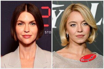 حمله تند به بازیگر زن پرحاشیه: تو یک احمقی!