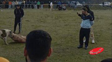 این چهار نفر بازداشت شدند/ماجرا چیست؟