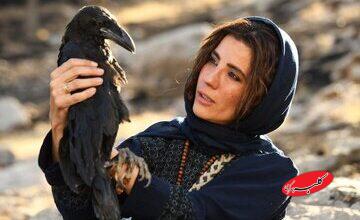 ۴ فیلم آماده نمایش و یک فیلم در پیش‌تولید؛ اکران «خاتی» در اولویت است