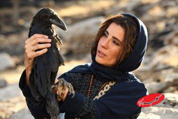 ۴ فیلم آماده نمایش و یک فیلم در پیشتولید؛ اکران «خاتی» در اولویت است