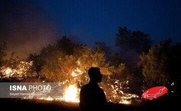 آتش سوزی گسترده در جنگلهای جاده چالوس/ درخواست محیطزیست برای اعزام فوری بالگرد