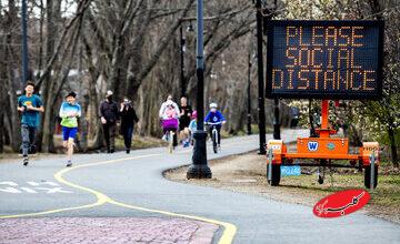 مورچهها چطور جلوی شیوع بیماری را میگیرند / استادان دفاع غریزی در برابر عفونت