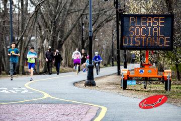 مورچه‌ها چطور جلوی شیوع بیماری را می‌گیرند / استادان دفاع غریزی در برابر عفونت