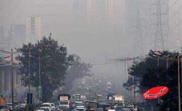 منشأ «مه‏‏‏‏‏‌دود» شهرهای شمالی چیست؟