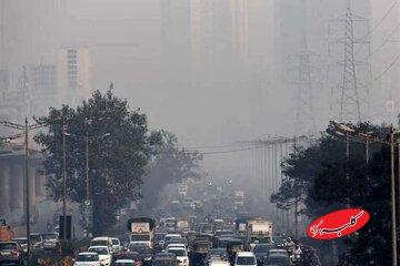 منشأ «مه‏‏‏‏‏‌دود» شهرهای شمالی چیست؟