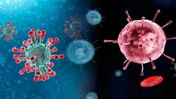 افزایش موارد ابتلا به آنفلوآنزا در این شهر