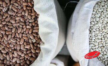 قیمت جدید لوبیاچیتی در بازار