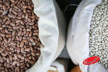 قیمت جدید لوبیاچیتی در بازار