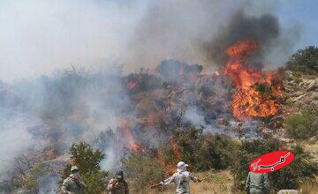 پایان عملیات اصلی اطفای حریق جنگل‌های مازندران/ لکه‌گیری همچنان ادامه دارد