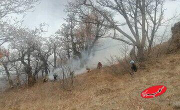 ادامه عملیات مهار آتش‌سوزی گسترده در جنگل‌های الیت چالوس