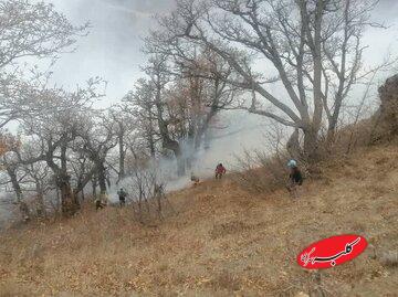 ادامه عملیات مهار آتش‌سوزی گسترده در جنگل‌های الیت چالوس