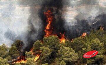 جنگلهای درازنو درگیر آتش شد/ «درخواست بالگرد دادیم»