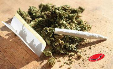 قدرت مخرب‌ ماده اعتیادآور «گل» در ایران/ ممنوعیت مصرف گل در بسیاری از کشورهای پیشرفته دنیا