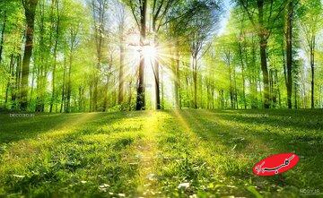 ماجرای نوری که ناگهان در بهشت میتابد و بهشتیان را از لذت بیهوش میکند