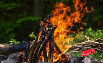 پاسخ عجیب امام علی(ع) به شبهه یک مسیحی