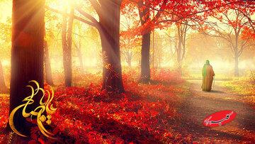 چرا امام زمان (عج) را شریک‌القرآن می‌نامیم؟