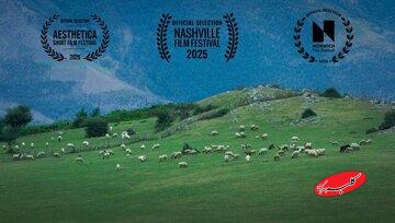 گوسفند ایرانی نظر لسآنجلسیها را جلب کرد