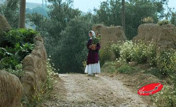 جشنواره جهانی فیلم فجر با نمایش فیلمی از عباس کیارستمی افتتاح می‌شود