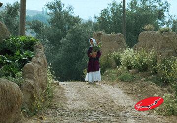 جشنواره جهانی فیلم فجر با نمایش فیلمی از عباس کیارستمی افتتاح میشود