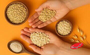 برنج دوست دارید؟ این‌بار جو را امتحان کنید!