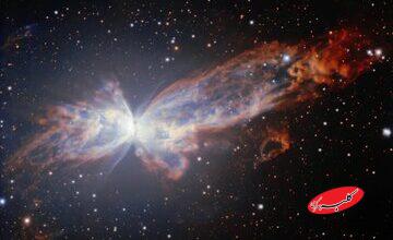 خودنمایی پروانه‌ای شگفت‌انگیز در عمق فضا / عکس