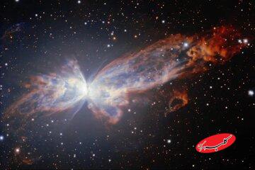 خودنمایی پروانه‌ای شگفت‌انگیز در عمق فضا / عکس