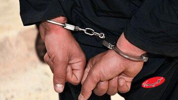 عامل آتش‌سوزی جنگل های هیرکانی دستگیر شد