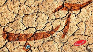 چهار ضعف ساختاری مدیریت آب ایران/ وزیر اسبق نیرو: مدیریت آب نیازمند صدای تماموقت در دولت است/ ضرورت به رسمیت شناختن حوضههای آبریز