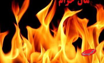 آثار شومی که درآمد حرام بر زندگی انسان دارد