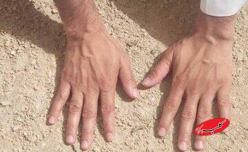 تیمم چگونه است و بر چه چیزهایی صحیح است؟