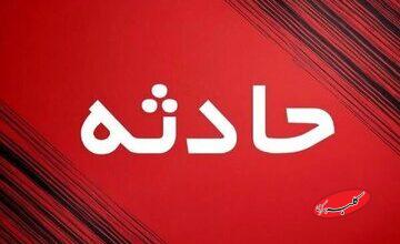 عابرپیاده از ترس سگ وارد بزرگراه شد و جان باخت