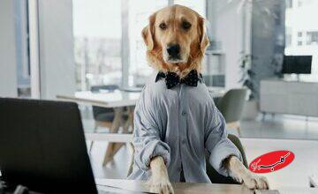 کشف ژنهای مشترک میان سگ و انسان /هوش و اضطراب انسان در بدن یک سگ؟