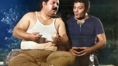 عبدالعلی همایون