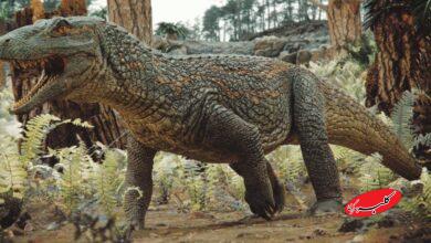 کروکودیل باستانی