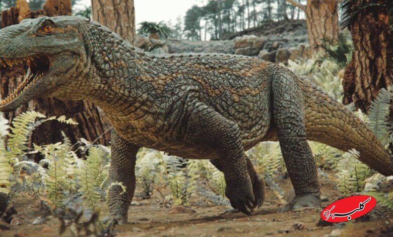 کروکودیل باستانی