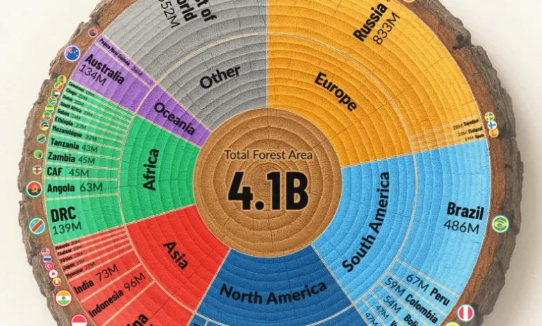 سهم کشورهای مختلف از جنگل‌های جهان در سال ۲۰۲۵