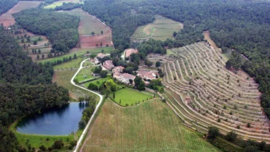 تاکستان آنجلینا جولی و برد پیت