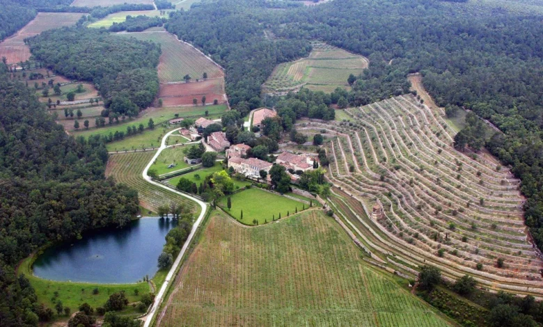 تاکستان آنجلینا جولی و برد پیت