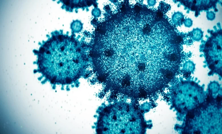 ویروس سرماخوردگی