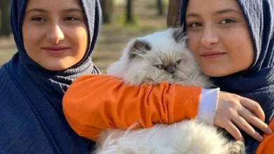 سارا و نیکا