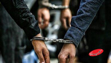 تازهترین جزئیات از بازداشت بازیگر جنجالی؛ چه کسی او را لو داد؟