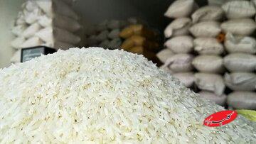 برنجهای پاکستانی و هندی نایاب شد/ کنگری: برنج ۴۹ هزارو ۸۰۰ تومانی به مردم ۲۲۰ هزار تومان فروخته شد