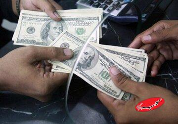 قیمت دلار، یورو و سایر ارزها امروز ۱۹ آذر/ دور جدید ریزش در بازار ارز آغاز شد