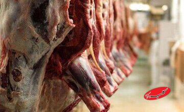 بعد از ۴ سال مصرف گوشت افزایشی شد/ جزییات